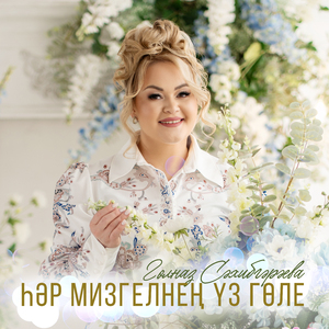 Хэр мизгелнен уз голе