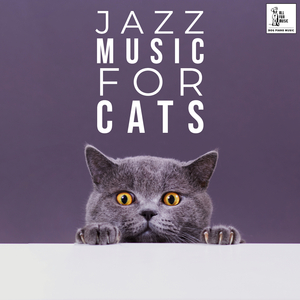 Jazz Cat