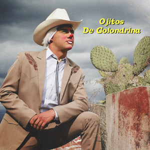 Ojitos de Golondrina