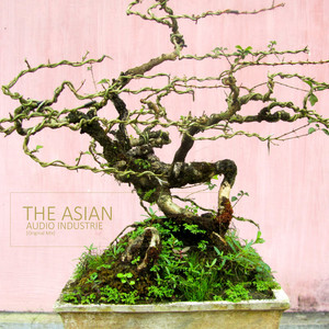 The Asian (Original Mix)