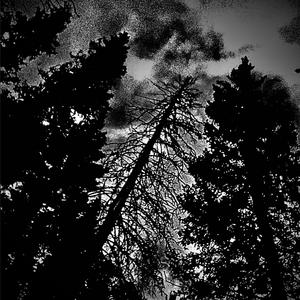 The Frigid Chill (That Death Brings)