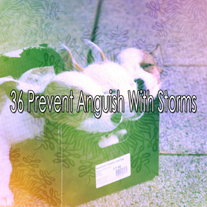 Storm Stimulating Senses