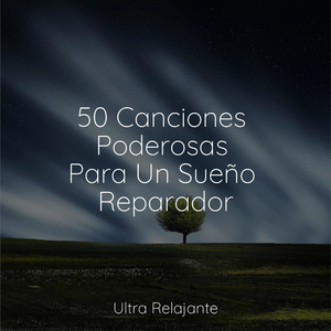 Salvación Sin Estrés