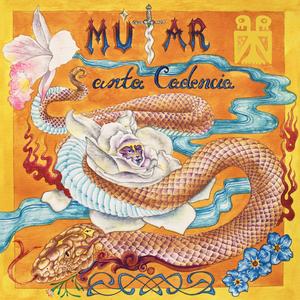 TIRIBA (GUION PERCUSION)