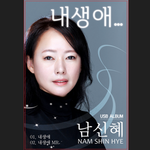 내생애