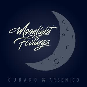Moonlight Feelings (feat. Ridan)