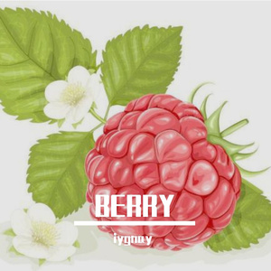 李佳隆-BERRY（remix by iygnay）（iygnay remix）