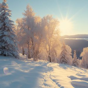 SEPASANG REMAJA JATUH CINTA CINTA MULIA