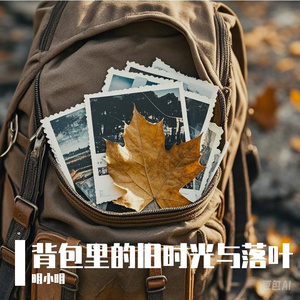 背包里的旧时光与落叶-整曲