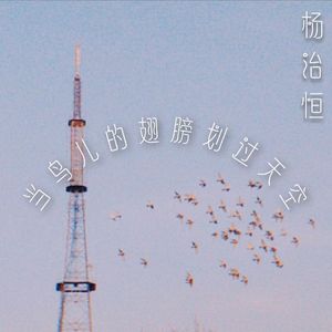 当鸟儿的翅膀划过天空