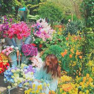 后花园(纯音乐)