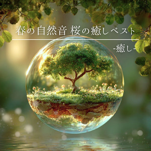 星降る湖畔で心が静まる 深い眠りの自然音