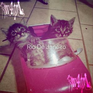 choir (feat. kynlary)