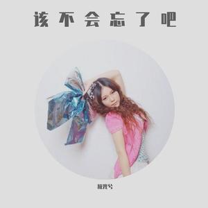 该不会忘了吧 (正式版)