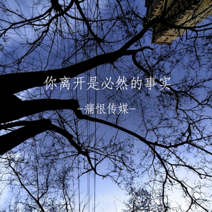 你离开是必然的事实