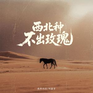 西北种不出玫瑰