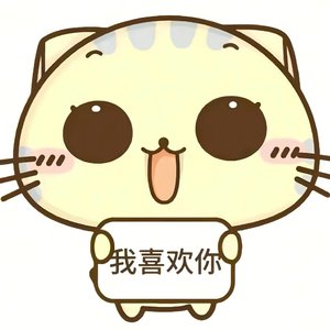 城市盖不住我心跳