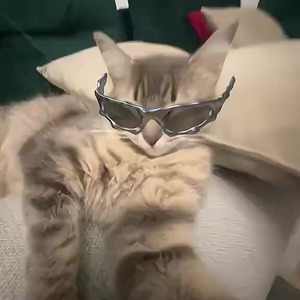 How Did It End? (slowed)