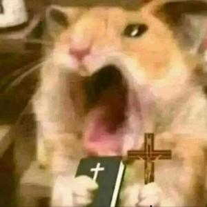 Tung Tung Tung Sahur Hardstyle