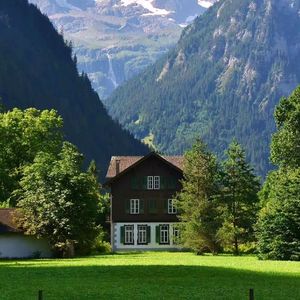 Gale's cabin in the woods（嘎了的林间小破屋）