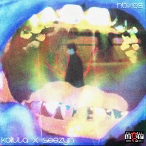 HB/BS (feat. Seezyn)