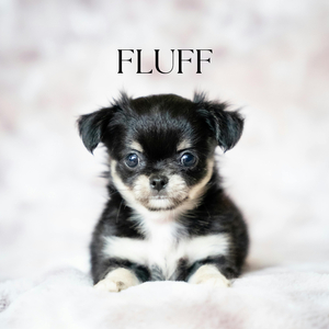 Fluff
