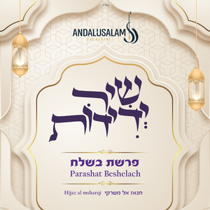 מלכי שובה, יודד שינת עיני, יחיד בארבע