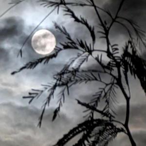 Sleeping (feat. Nina Rivera & Ivy Magana)