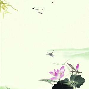 锦鲤抄(Cover 银临)