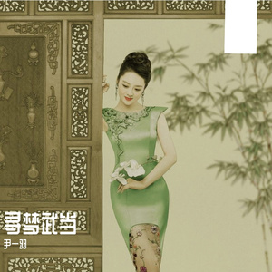 寻梦武当 尹一羽
