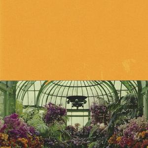 Architecture Exuberant!