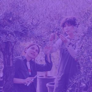 一尘不染睡眠印象数