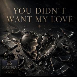 YOU DIDN'T WANT MY LOVE