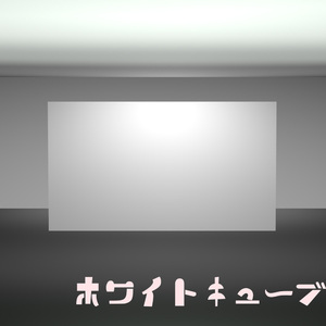 ホワイトキューブ