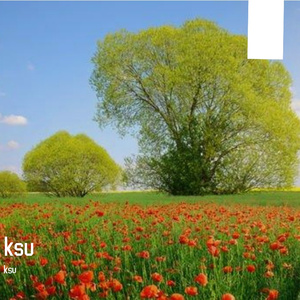 金戈铁马气势如虹的战场