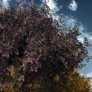 穷得叮当响还嘴硬