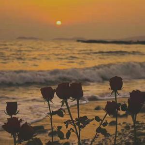 单项箭头（翻自 双笙）