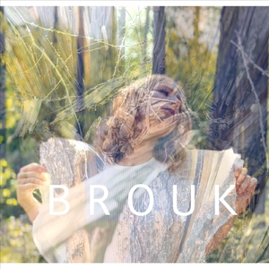 Brouk