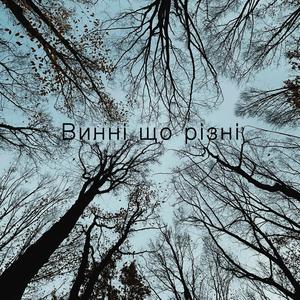 Винні що різні