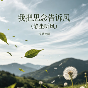 我把思念告诉风（静坐听风）