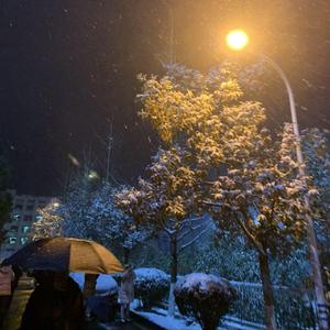 浪漫主义（僵尸 remix）