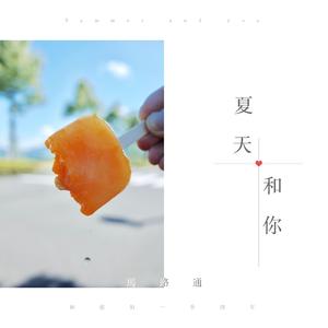 夏天和你 （伴奏）