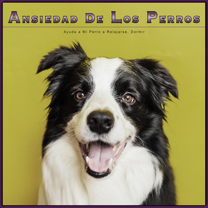 Música Relajante para Perros