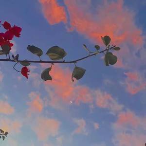 [FREE] “夏日贩卖机” R&B Type Beat