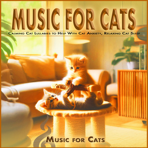 Calm Music For Cats