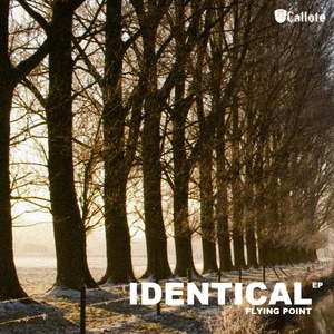Identical (Original Mix)