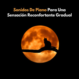 Sonata De Piano Ambiental Para Sentimiento Reconfortante Gradual