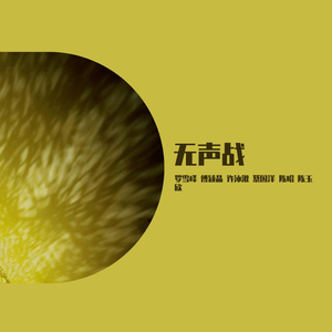 无声战