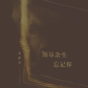 用尽余生忘记你