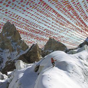 The Calling (feat. Flow Lion)